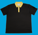 Classic Polo (Flag Collection) image 0